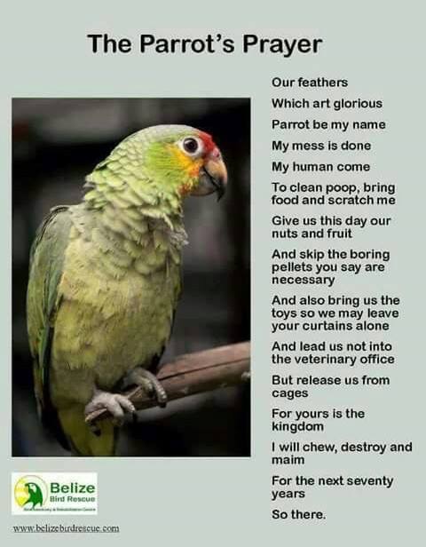 15EC0131-9D37-4A56-88C4-A2894BBF7936