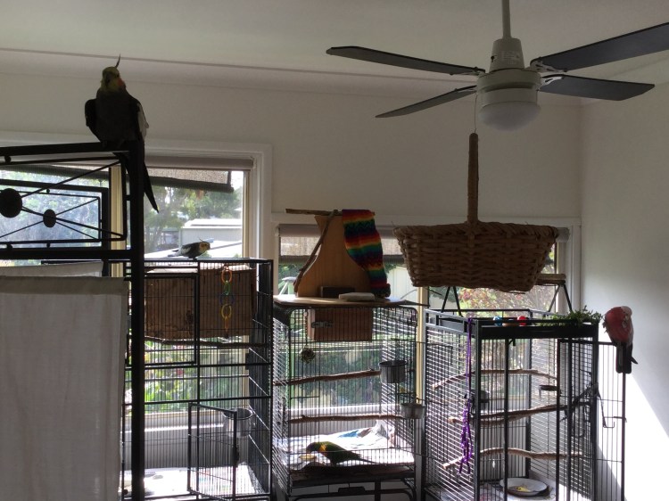 E35D79B6-E156-4077-B671-E82C24E6BDF2